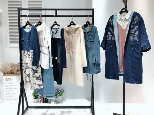 高端大氣精品休閑時(shí)尚女裝認(rèn)同2018年新款秋冬裝