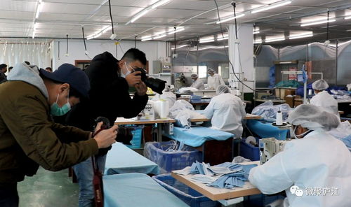 媒體大咖云集廬江 原來(lái)為了這件事